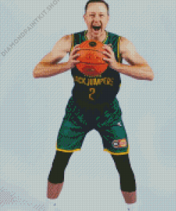 Basketballer Josh Magette Diamond Painting
