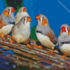 Finches Diamond Painting