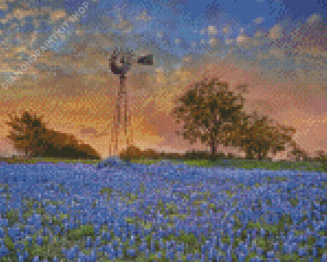 Texas Bluebonnet With Windmill Diamond Painting