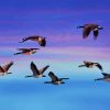 Colorful Sky Geese Flying Diamond Painting