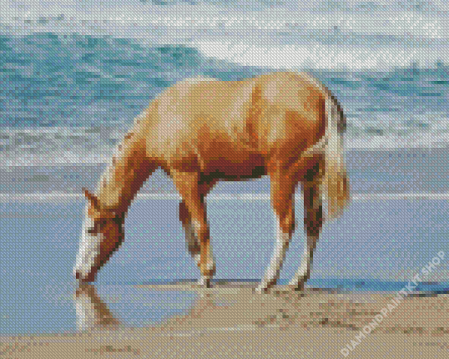 Palomino Quarter Horse At Beach Diamond Painting