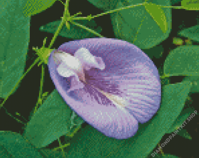 Purple Pea Flower Diamond Painting