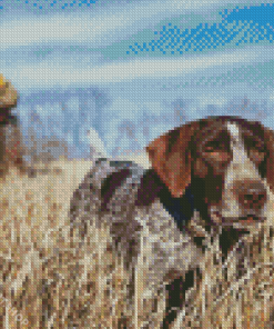 German Shorthaired Dog Diamond Painting