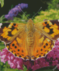 Painted Lady Butterfly Diamond Painting