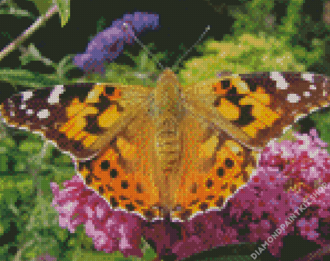 Painted Lady Butterfly Diamond Painting