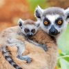 Ring Tailed Lemur Family Diamond Painting