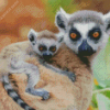 Ring Tailed Lemur Family Diamond Painting