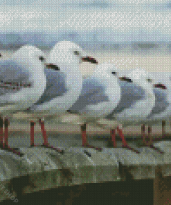 Seagulls Row Diamond Painting