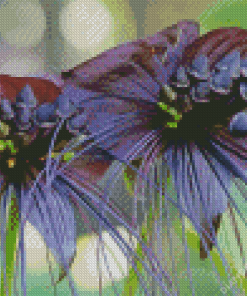 Two Black Bat Flowers Diamond Painting
