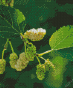 White Mulberry Diamond Painting