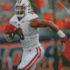 Wisconsin Badgers Footballer Diamond Painting