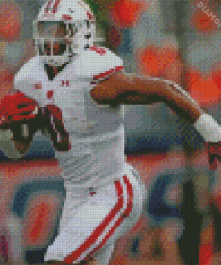 Wisconsin Badgers Footballer Diamond Painting