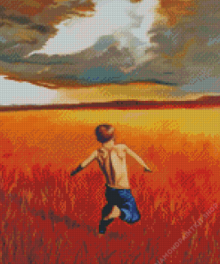 Boy Running Through Field Art Diamond Painting