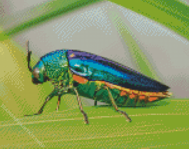 Colorful Beetle Bug Diamond Painting