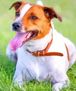 Danish Swedish Farmdog Diamond Painting