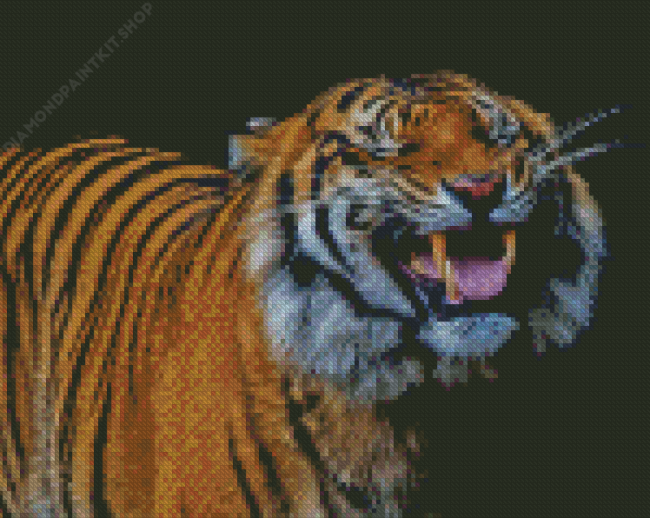 Funny Tiger Smiling Diamond Painting