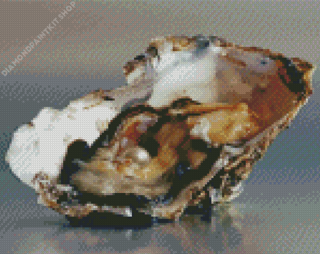 Oyster Pearl Diamond Painting