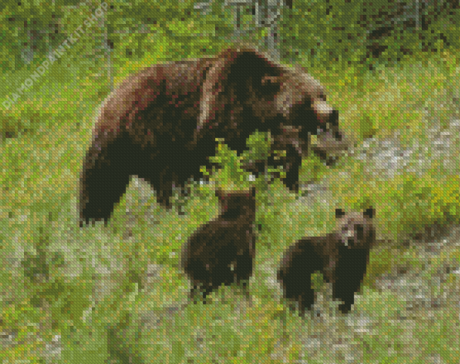 Bear Mother With Her Kids Diamond Painting