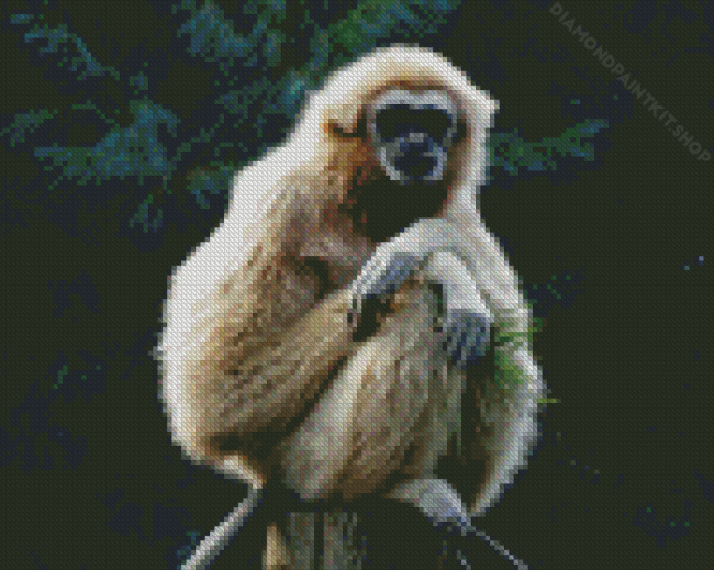 Beige Gibbon Diamond Painting