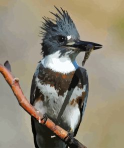 Belted Kingfisher Diamond Painting