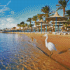 Bird In Hurghada Beach Diamond Painting