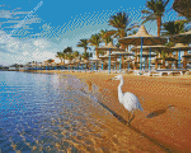 Bird In Hurghada Beach Diamond Painting