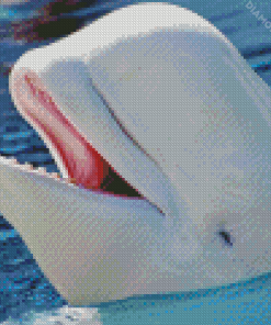 Beluga Whale Diamond Painting
