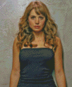 Canadian Erica Durance Diamond Painting