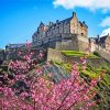 Cherry Blossom Edinburgh Castle Diamond Painting