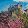 Cherry Blossom Edinburgh Castle Diamond Painting