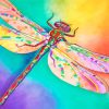 Colorful Dragonfly Art Diamond Painting