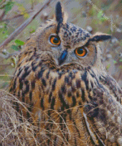 Cute Eurasian Eagle Owl Diamond Painting