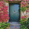 Door With Pink Flowers Diamond Painting