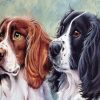 English Springer Spaniel Dogs Diamond Painting