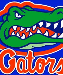 Florida Gators Diamond Painting