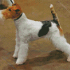 Fox Terrier Dog Diamond Painting