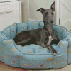 Grey Whippet Lurcher Diamond Painting