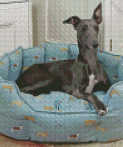 Grey Whippet Lurcher Diamond Painting