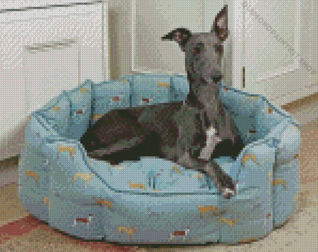 Grey Whippet Lurcher Diamond Painting