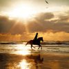 Horse Riding At Beach Silhouette Diamond Painting