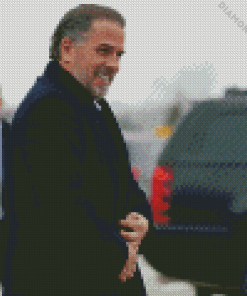 Hunter Biden Diamond Painting