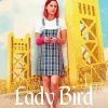 Lady Bird Movie Poster Diamond Painting