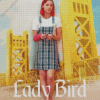 Lady Bird Movie Poster Diamond Painting