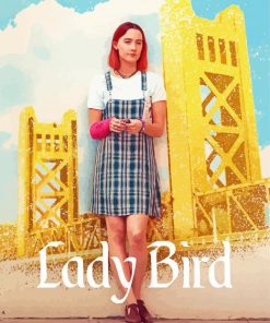 Lady Bird Movie Poster Diamond Painting