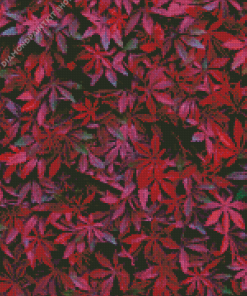 Maroon Leaves Plants Diamond Painting