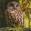 Morepork Diamond Painting