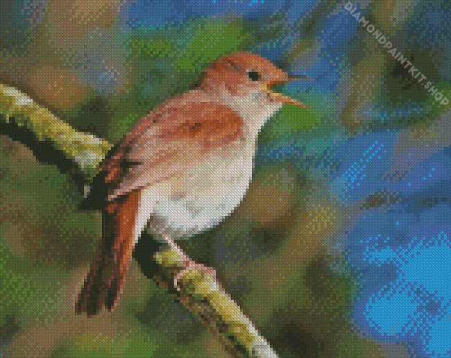 Nightingale Diamond Painting