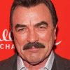 Old Tom Selleck Diamond Painting