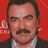 Old Tom Selleck Diamond Painting