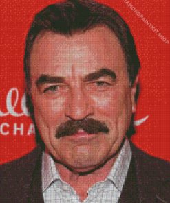 Old Tom Selleck Diamond Painting